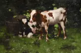 Calves by David Gauld, Oil on canvas, offered Oct 2023
