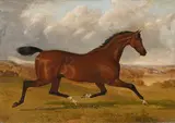 A trotting horse by John Frederick Herring Senior, Oil on canvas, sold Oct 2023