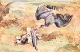 The wounded plover by John Frederick Lewis, Pencil, watercolour and bodycolour, sold Oct 2023