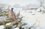 Pheasants and foxes in the snow on the outskirts of a village by Rodger MaCphail, Watercolour and bodycolour, sold Oct 2023