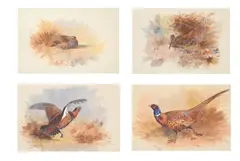 A set of four game birds by Archibald Thorburn, Watercolour, sold Oct 2023