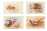 A set of four game birds by Archibald Thorburn, Watercolour, sold Oct 2023
