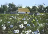 Daisies before barns by Paul Evans, gouache, sold Feb 2024