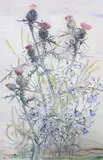 Scottish Thistles and Bluebells by Euphen Alexander, watercolour, sold Feb 2024