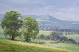 Towards Wolstonbury Hill near Ditchling by Christopher Osborne, oil on board, sold Jan 2024