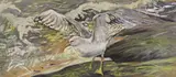 Study of a seagull by Spencer Roberts, 1959, oil on board, sold Jan 2024