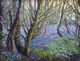 Bluebell Wood by Daniel Fallshaw, 2000, Wood', signed and dated, sold Jan 2024