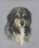 Study of a collie dog by Lilian Cheviot, oil on canvas, sold Jan 2024
