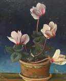 Still life of Cyclamen by F.C. Williams, oil on canvas board, sold Jan 2024