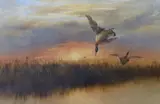 Ducks in flight over water by Andrew Nicoll, watercolour, sold Jan 2024