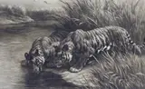 Thirst by Herbert Dicksee, etching, sold Jan 2024