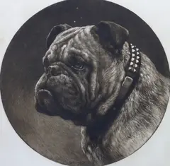 A British Bull Dog by Herbert Dicksee, etching, sold Jan 2024