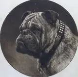 A British Bull Dog by Herbert Dicksee, etching, sold Jan 2024