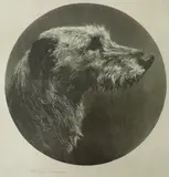 The Old Hound by Herbert Dicksee, etching, sold Jan 2024