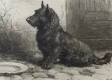 Forgotten by Herbert Dicksee, etching, sold Jan 2024