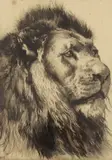 Head of a Lion by Herbert Dicksee, etching, sold Jan 2024