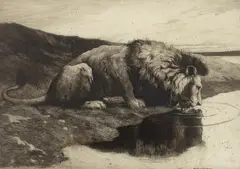 Lion Drinking by Herbert Dicksee, etching, sold Jan 2024