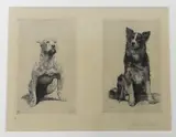 Beauty and the Beast by Herbert Dicksee, etching, sold Jan 2024