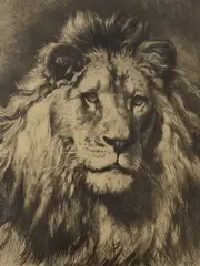 His Royal Highness by Herbert Dicksee, etching, sold Jan 2024