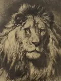 His Royal Highness by Herbert Dicksee, etching, sold Jan 2024