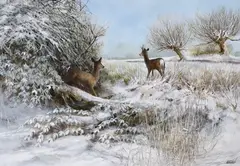 Roe deer in the snow by Ken Turner, oil on board, sold Dec 2023