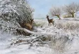 Roe deer in the snow by Ken Turner, oil on board, sold Dec 2023