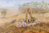 Leopard by Edward Siddle, oil on canvas, offered Apr 2024