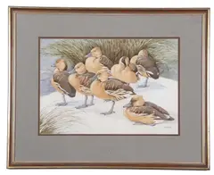 Pochards by Noel William Cusa, watercolour and pencil, sold Apr 2024