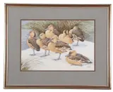 Pochards by Noel William Cusa, watercolour and pencil, sold Apr 2024