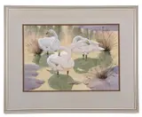 Whooper Swans by Noel William Cusa, watercolour and pencil, sold Apr 2024