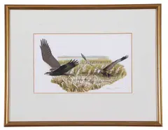 Marsh Harriers by Hilary Burn, gouache, sold Apr 2024