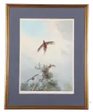 The Curling Cock by John Cyril Harrison, pencil, sold Apr 2024