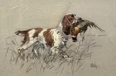 Springer Spaniel with a Ring Necked Pheasant by John Paley, gouache and pencil, sold Apr 2024