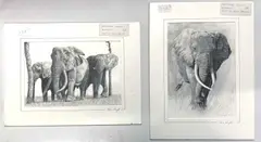 Untitled by Chris Wright, pencil, sold Apr 2024