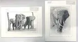 Untitled by Chris Wright, pencil, sold Apr 2024