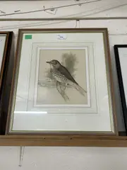 A song thrush perched on a small branch by Edna Bizon, watercolour, sold Apr 2024