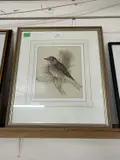 A song thrush perched on a small branch by Edna Bizon, watercolour, sold Apr 2024