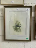 Great Tit by Andrew Osborne, watercolour, sold Apr 2024