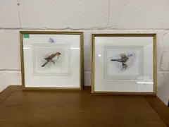 Brown Towhee and White Crowned Sparrow by David Ord Kerr, watercolour and gouache, sold Apr 2024