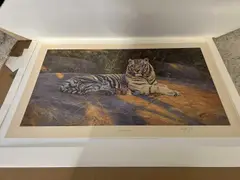 The Great White Tiger by Anthony Gibbs, pencil, sold Apr 2024