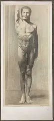 Study of a nude male by Giorgio Matteo Aicardi, charcoal and graphite, sold Feb 2024