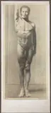 Study of a nude male by Giorgio Matteo Aicardi, charcoal and graphite, sold Feb 2024