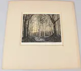 Dawn Early Spring in a Suffolk Wood by Arthur Henry Knighton-Hammond, Wood' coloured etching, artists proof signed , inscribed below the mount unframed, sold Jul 2026