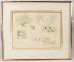 Great Crested Grebe studies by Peter Partington, watercolour, sold Jun 2026