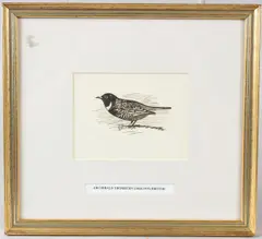 Untitled by Archibald Thorburn, ink, offered Jun 2026