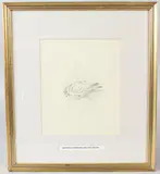 Dove on a ledge by Archibald Thorburn, pencil, sold Jun 2026