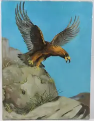Eagle taking flight by John George Brown, oil on canvas, sold May 2026