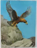 Eagle taking flight by John George Brown, oil on canvas, sold May 2026