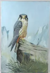 Peregrine falcon by John George Brown, oil on canvas, sold May 2026