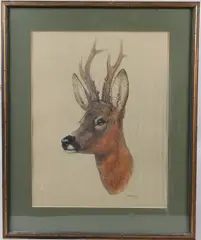 Roe deer by Brian Rawling, watercolour, offered May 2026